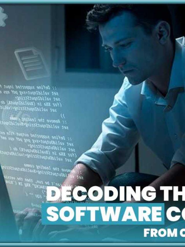 Decoding the Role of a Software Consultant